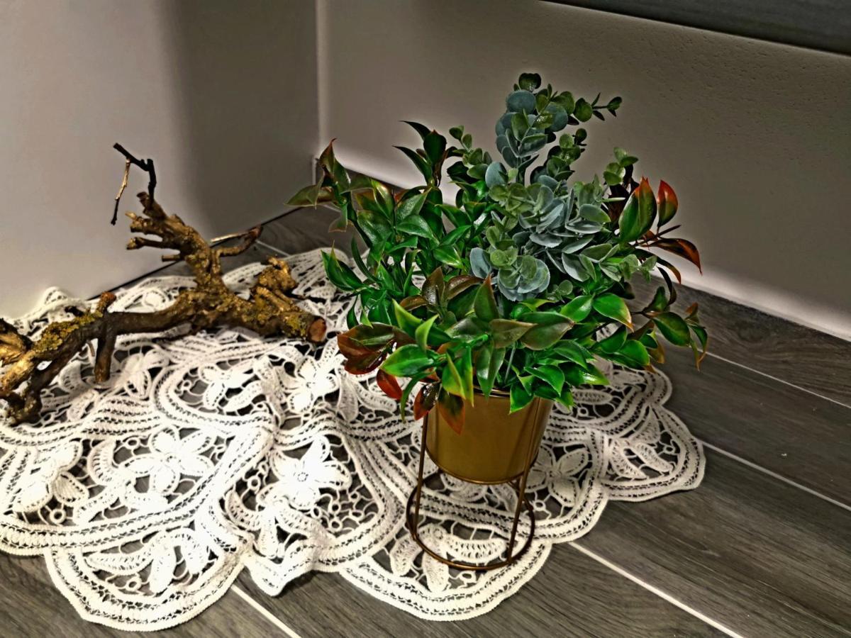 Appartamento Golden - Self Check In Ossero Esterno foto